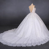 White Appliques Tulle Ball Gown Princess Wedding Dresses, Bridal Gown OKQ31