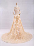 Pretty A-Line V-Neck Long Sleeves Tulle Appliques Floor Length Prom Dress OKG32