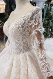 Princess Long Sleeves Ball Gown Lace Wedding Dress, Long Bridal Dress OKN43