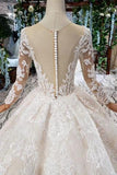 Princess Long Sleeves Ball Gown Lace Wedding Dress, Long Bridal Dress OKN43