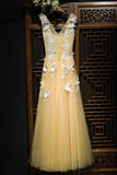 Charming Flowy Long Tulle V Neck Prom Dresses With Lace Butterflies OK989