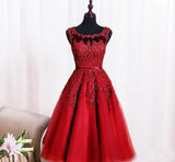 Elegant Lace Appliques Beaded A-line See Through Tea Length Homecoming Dress OKC10