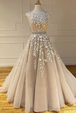 A-line Scoop Lace Appliques Long Prom Dress Cheap Evening Dress OKS92